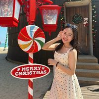 pimpim_0245