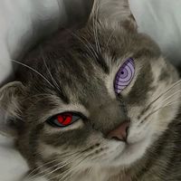 suka_led