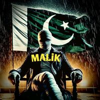 maliksaab7672