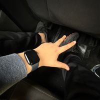 sittingspy
