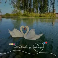 original sound - angellia_31