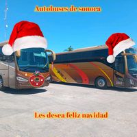 autobuses.de.sono