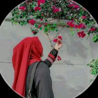 samiya.akhter018