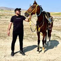 mese_ahmet