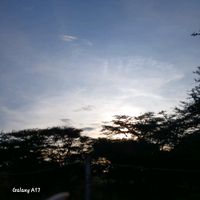 sode_son_254