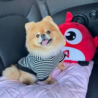 supatchamitwareesamphan