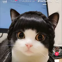 original sound - promprasits