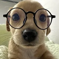 original sound - imnkylaaaa