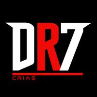 dr7esporte