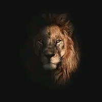 original sound - surchy199511