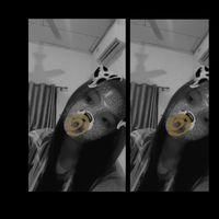 nichakaew_2707