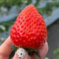 mi_ko12345