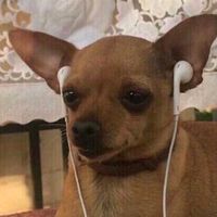 오리지널 사운드 - 노맛🎧🎵