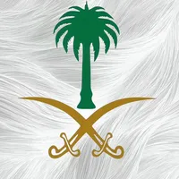 original sound - zrr96