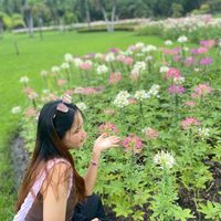 original sound - Ma Mee☘️