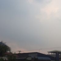 សំឡេងដើម - T
