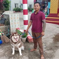 user381816027481