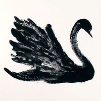 amberrinteriors