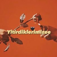 İns yitirdiklerimizee