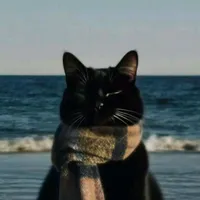 original sound - tritan151