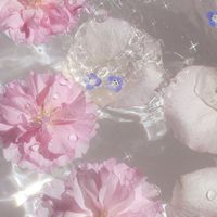 filmsbymiki