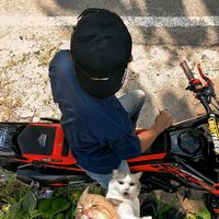 suara asli - dinzi sat fff