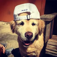 original sound - abichan_mgr