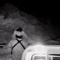 الصوت الأصلي