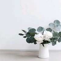 umuttagaeva71