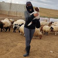 qatralnadafarms