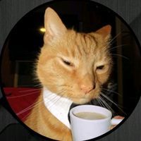 original sound - マフィアキラー