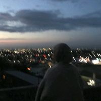 .8vir_lu