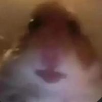 liqiarblx