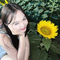 kmchn244