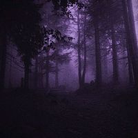 howl_5042