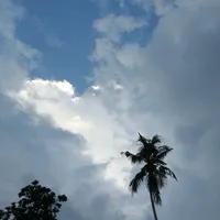 original sound - lisa.febrianti48