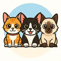 sana all pusa