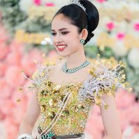 sina02220