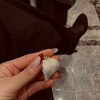 znl.02