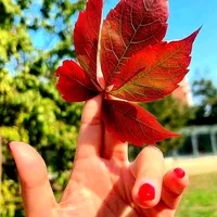 original sound - jiaojuao1221