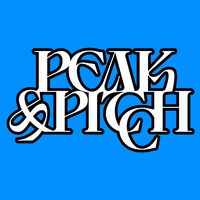 Turn The Lights Off_Peak and Pitch Cover