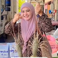 uminasilemakk