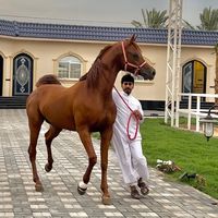 r.mutairi