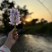 original sound - moonahangkhim