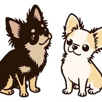 オリジナル楽曲 - しぇ🐶🏠️おん