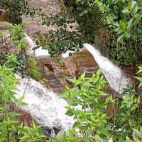 navodyadissanayak1