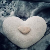 nikki_bestofbothworlds