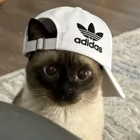 original sound - bingzcu8