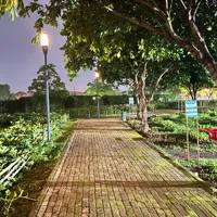 original sound - yaelperez254