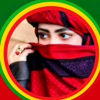 roza_2207